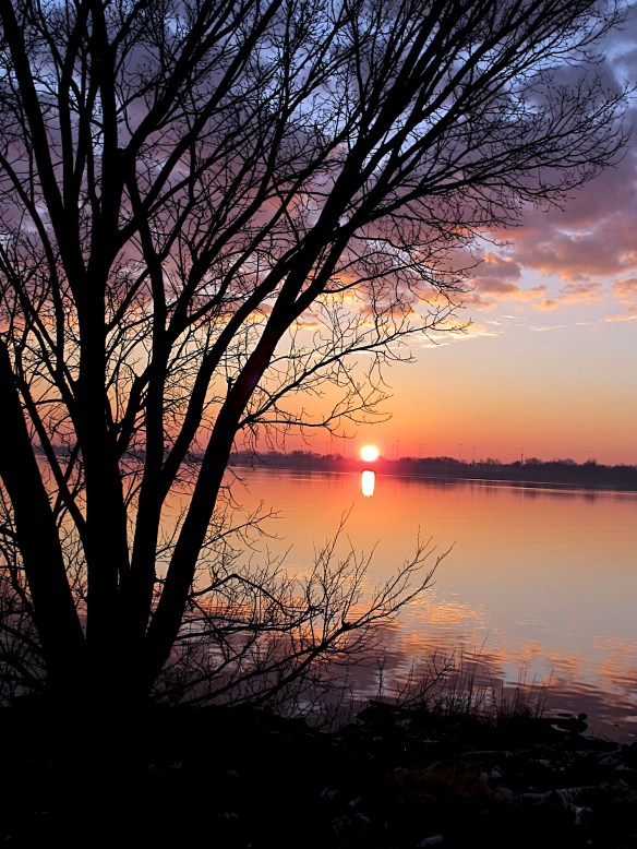 Lin and Michael's Photos