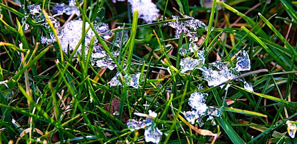 Lin and Michael's Photos