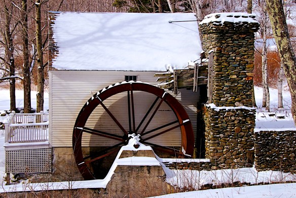 Lin and Michael's Photos