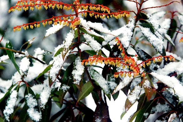 Lin and Michael's Photos