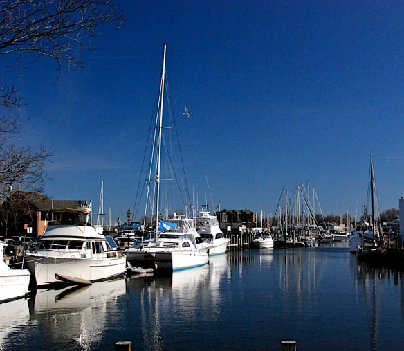 Lin and Michael's Photos