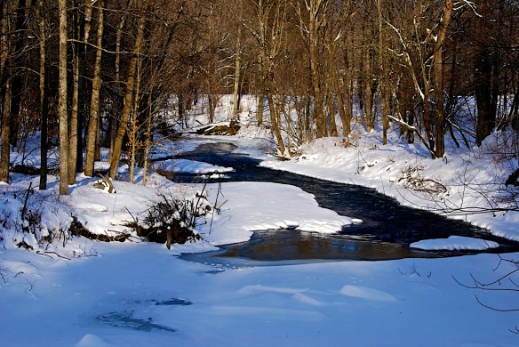 Lin and Michael's Photos