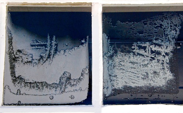 Lin and Michael's Photo