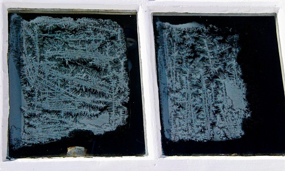 Lin and Michael's Photos