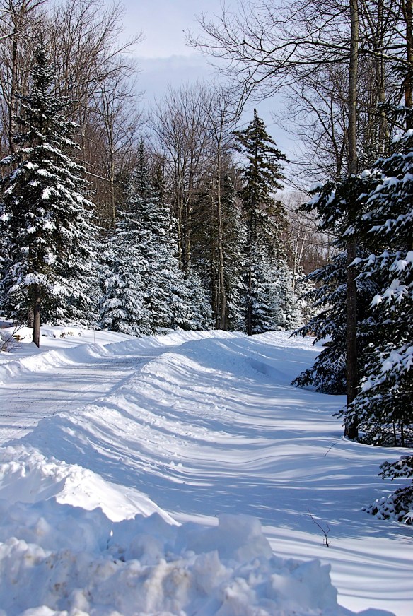 Lin and Michael's Photos