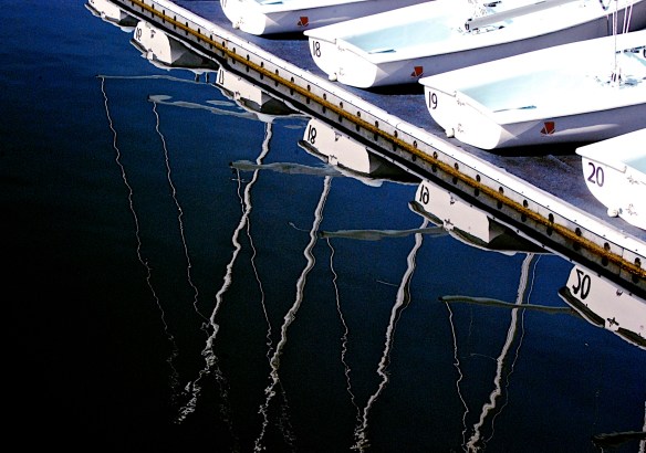 Lin and Michael's Photos