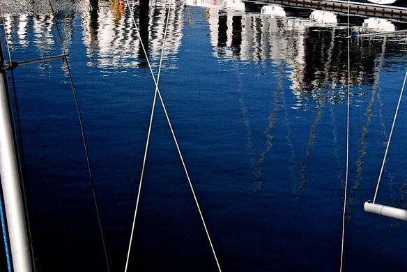 Lin and Michael's Photos