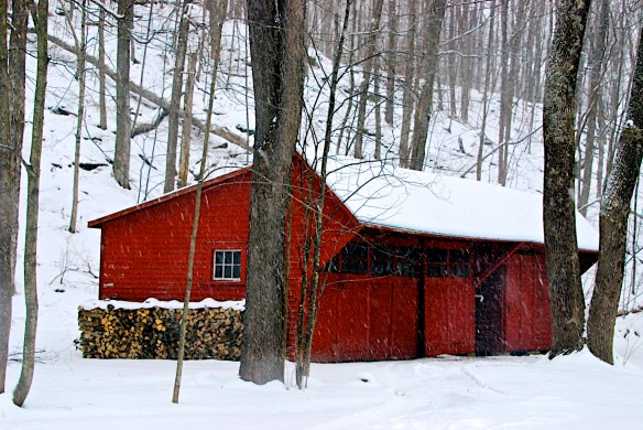 Lin and Michael's Photos