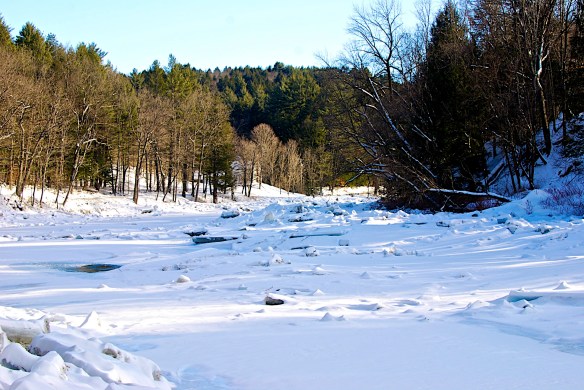 Lin and Michael's Photos