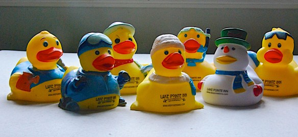 Lin and Michael's Photos