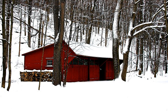 Lin and Michael's Photos