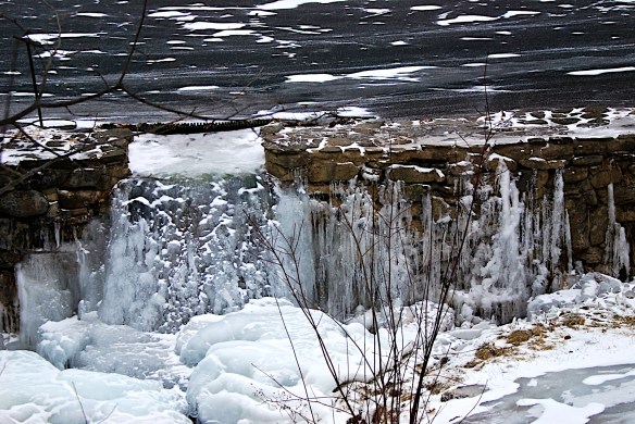 Lin and Michael's Photos