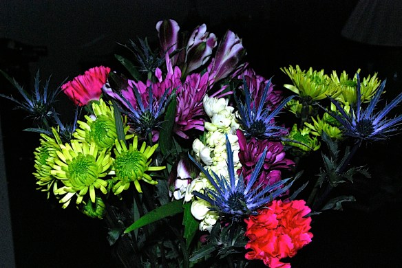 Lin and Michael's Photos