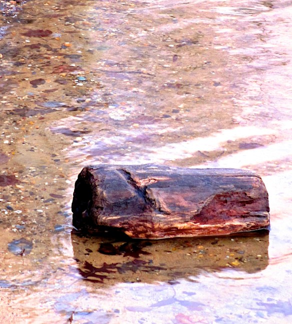 Lin and Michael's Photos