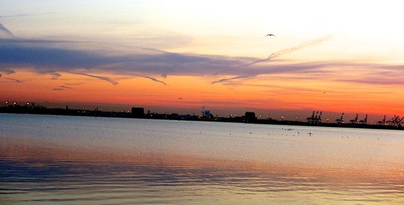 Lin and Michael's Photos