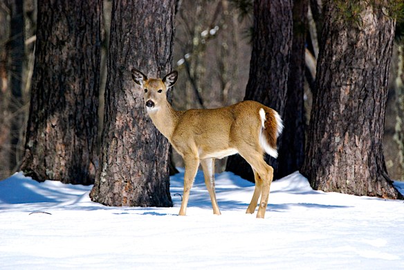 Lin and Michael's Photos