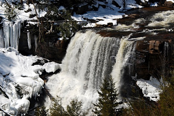 Lin and Michael's Photos