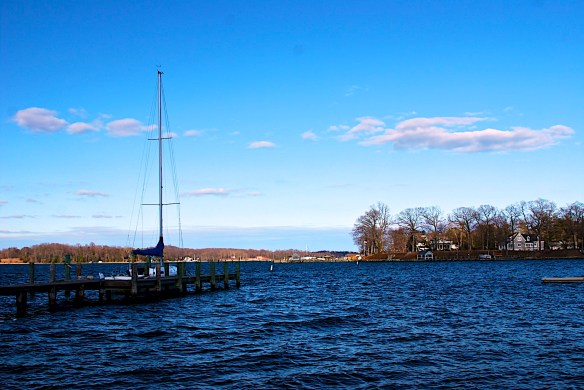 Lin and Michael's Photos