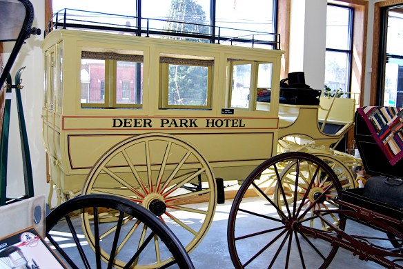 Lin and Michael's Phtoos