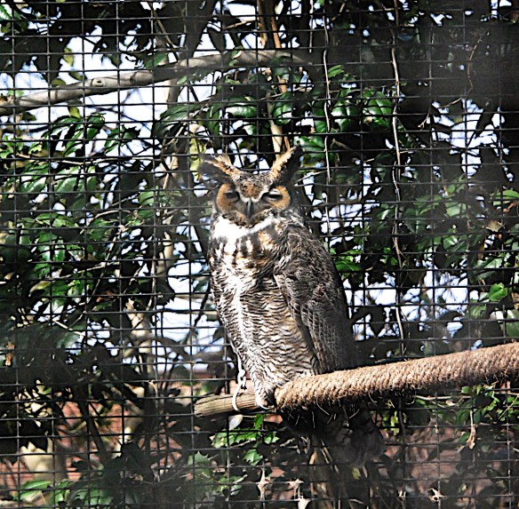 Lin and Michael's Photos