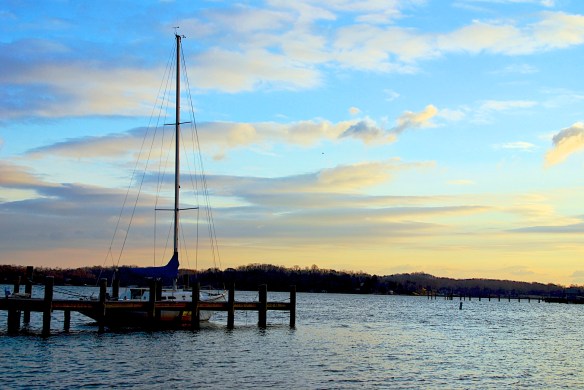 Lin and Michael's Photos