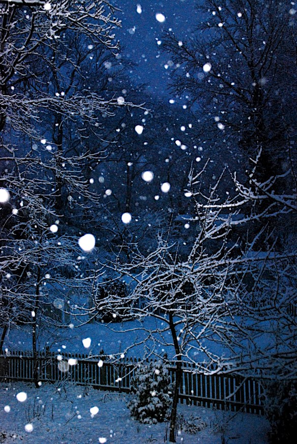 Lin and Michael's Photos