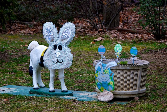 Lin and Michael's Photos