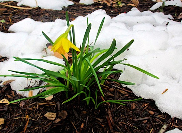 Lin and Michael's Photos