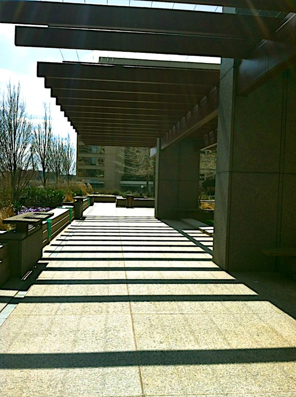 Lin and Michael's Photos