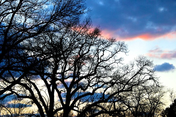 Lin and Michael's Photos