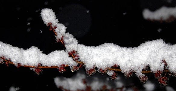 Lin and Michael's Photos