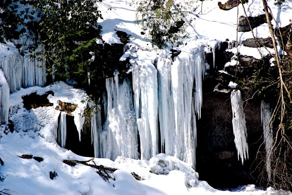 Lin and Michael's Photos