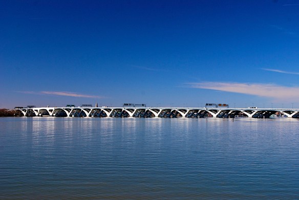 Lin and Michael's Photos