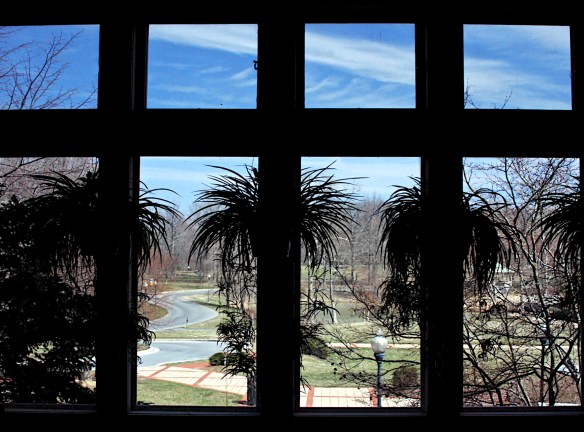 Lin and Michael's Photos