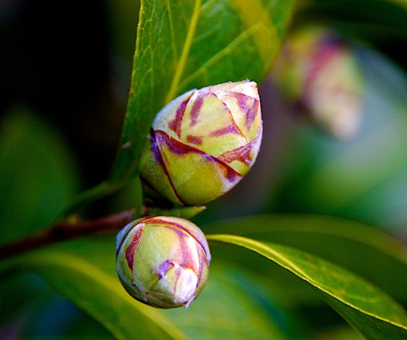 Lin and Michael's Photos