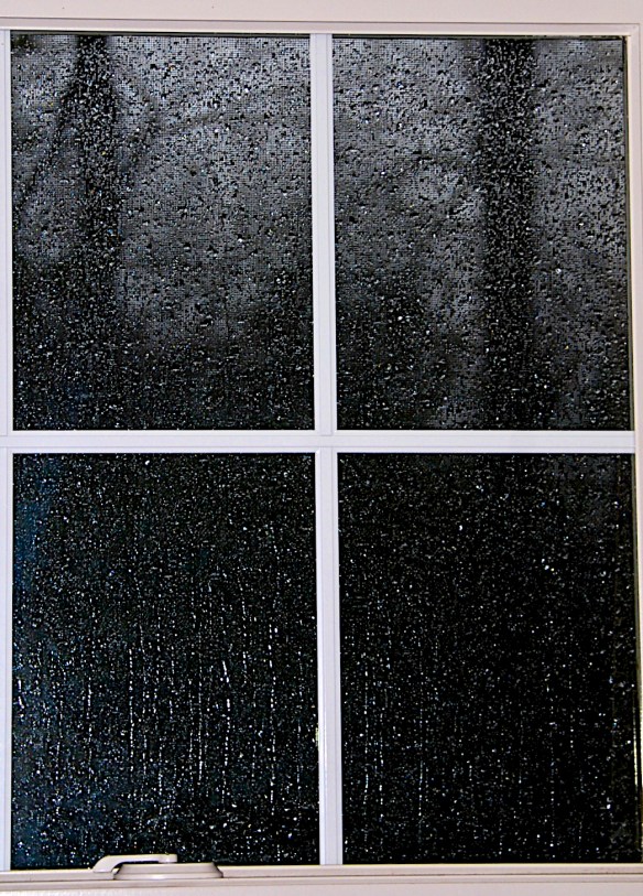 Lin and Michael's Snows