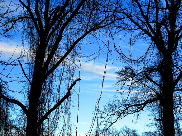 Lin and Michael Photos