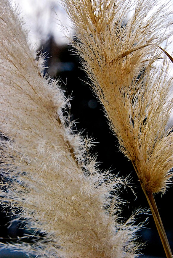 Lin and Michael's Photos