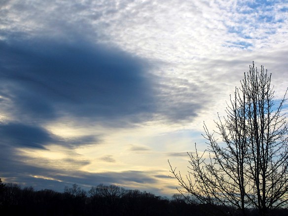 Lin and Michael's Phots