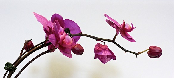 Lin and Michael's Photos