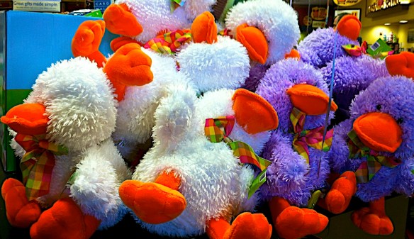 Lin and Michael's Photos