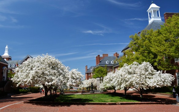 Lin and Michael's Photos