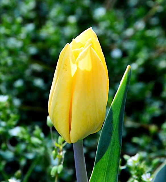 Lin and Michael's Photos