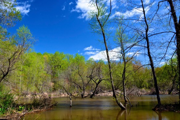 Lin and Michael's Photos