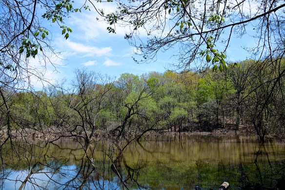 Lin and Michael's Photos