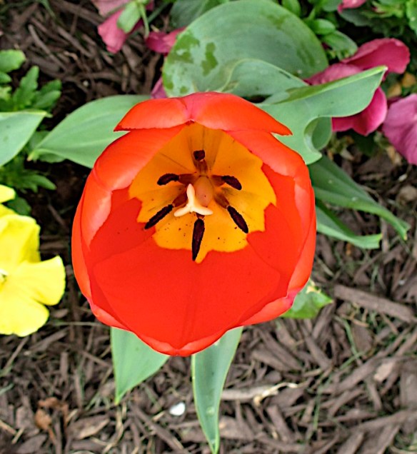 Lin and Michael's Photos