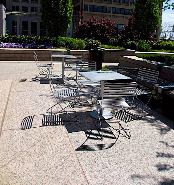 Lin and Michael's Photos