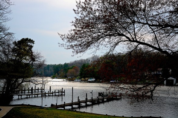 Lin and Michael's Photos