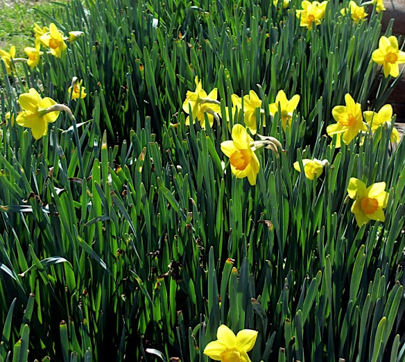 Lin and Michael's Photo