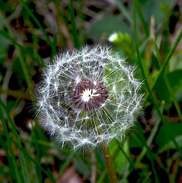 Lin and Michael's Photos